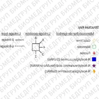 AdvanceBio 2AB G0FN / FA1 Nгликановый стандарт ранее ProZyme