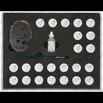 Universal Stain Kit Assortment  Набор красителей набор 600700