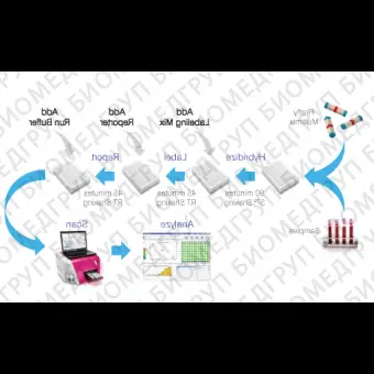 Панель для профилирования миРНК, Multiplex miRNA Assay Lung Cancer Panel  Cellular, Abcam, ab204060, 96 тестов