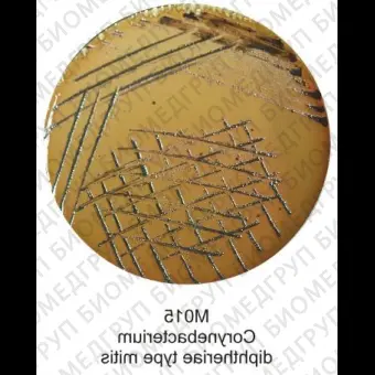 Основа среды Хойла для коринебактерий дифтерии 500 г Коринебакагар ФСЗ 2009/03709
