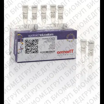 Набор для безлигазного клонирования aLICator LIC Cloning and Expression Kit 2, Thermo FS, K1251, 20 реакций