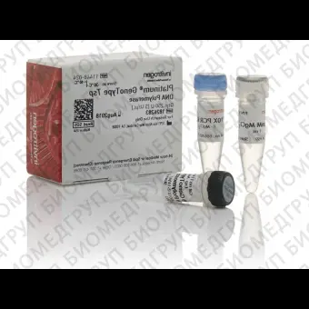 ДНКполимераза Platinum GenoType Tsp DNA Polymerase, Thermo FS, 11448032, 2500 единиц