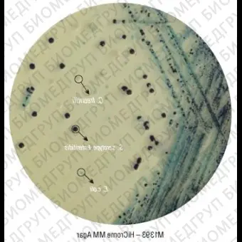 Агар HiCrome ММ для сальмонелл 100 г ФСЗ 2009/03705