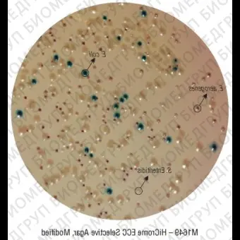 Агар HiCrome ECC для дифференциации E.coli и колиформных бактерий 100 г ФСЗ 2012/12473