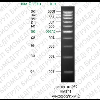 Маркер длин ДНК, 1000/100500, 10 фрагментов от 100 до 1000 п.н., готовый к применению, 0,1 мг/мл, Диаэм, 1911, 50 мкг