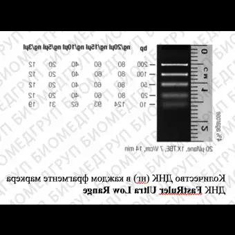 Маркер длин ДНК FastRuler Ultra Low Range, 5 фрагментов от 10 до 200 п.н., готовый к применению, Thermo FS, SM1233, 2х500 мкл