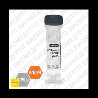 Набор NRAS Q61K мутация PrimePCR ddPCR, 200 реакций, BioRad, 1863129