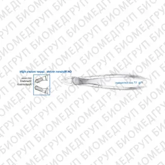 Щипцы для удаления зубов верхние, моляры правые 1217