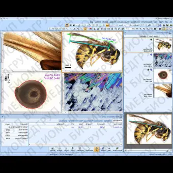 Программное обеспечение для медикобиологических наук QuickPHOTO