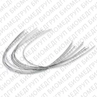 Дуги ортодонтические международная форма Нержавеющая сталь для нижней челюсти SS L .018x.025/.46x.64