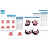 Ортодонтическое программное обеспечение Maestro 3D ortho