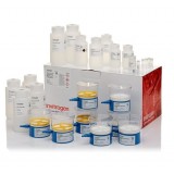 Набор PureLink Expi Endotoxin-Free Mega Plasmid Purification Kit, Thermo FS, A31232, 4 выделения