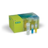 Набор реагентов SingleShot Cell Lysis Kit, Bio-Rad, 1725080, 100x50 мкл реакций