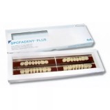 Spofadent Plus (С4) 1/40-0/7-1/62