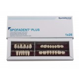 Spofadent Plus (А2) 1/47-0/6-1/72