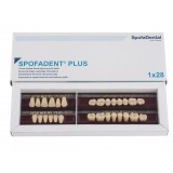 Spofadent Plus (А3,5) 1/44-0/0-1/65