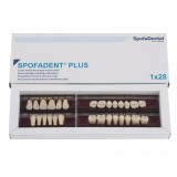 Spofadent Plus (С2) 59-0/8-77N