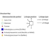 Стандарт N-гликанов AdvanceBio APTS G0/A2 (ранее ProZyme)