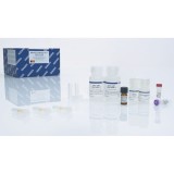 Набор QIAamp MinElute Virus Spin Kit для выделения вирусной РНК и ДНК из сыворотки, плазмы и биологических жидкостей(50 реакций)