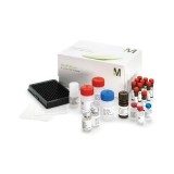 Панель MILLIPLEX MAP Human High Sensitivity T Cell Panel, 21-plex kit для одновременного определения низких концентраций цитокинов и хемокинов Т- клеток человека(96 тестов)